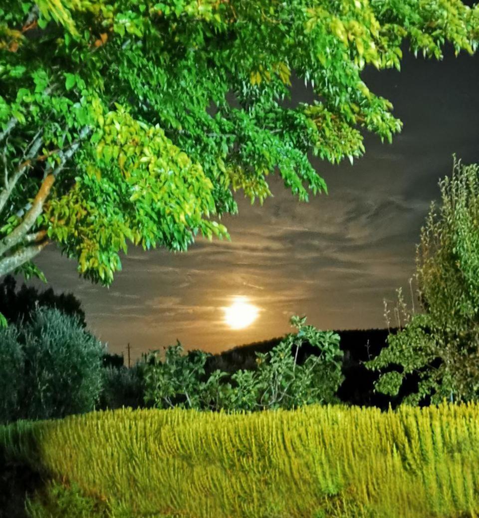 Vila Casa Tonino Pisticci Exteriér fotografie