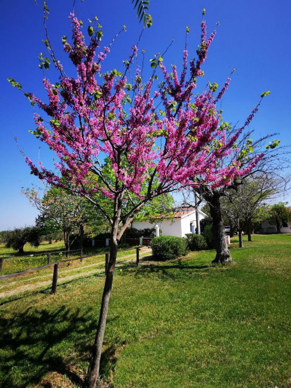 Vila Casa Tonino Pisticci Exteriér fotografie